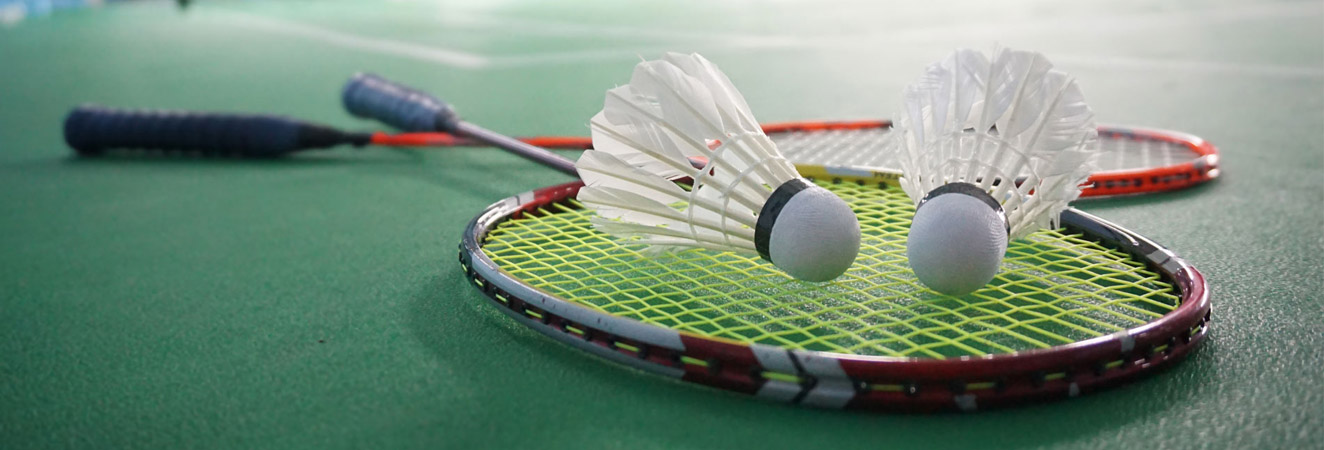 Choisir sa raquette de Badminton - Sports Raquettes